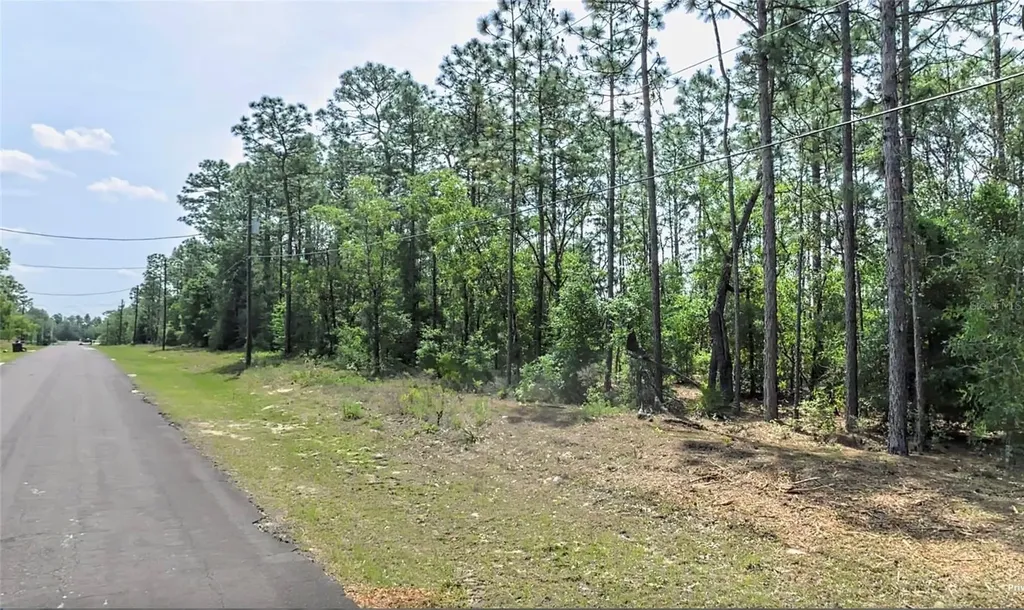 764 W Glenhaven Drive Dunnellon FL 34434