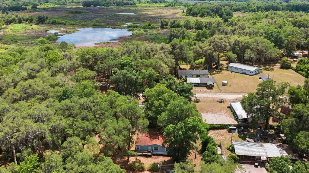 3290 NE 161st Street Citra FL 32113