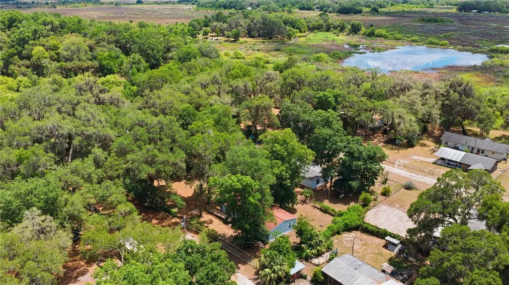 3290 NE 161st Street Citra FL 32113