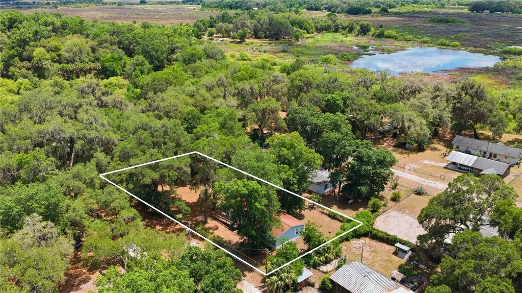 3290 NE 161st Street Citra FL 32113