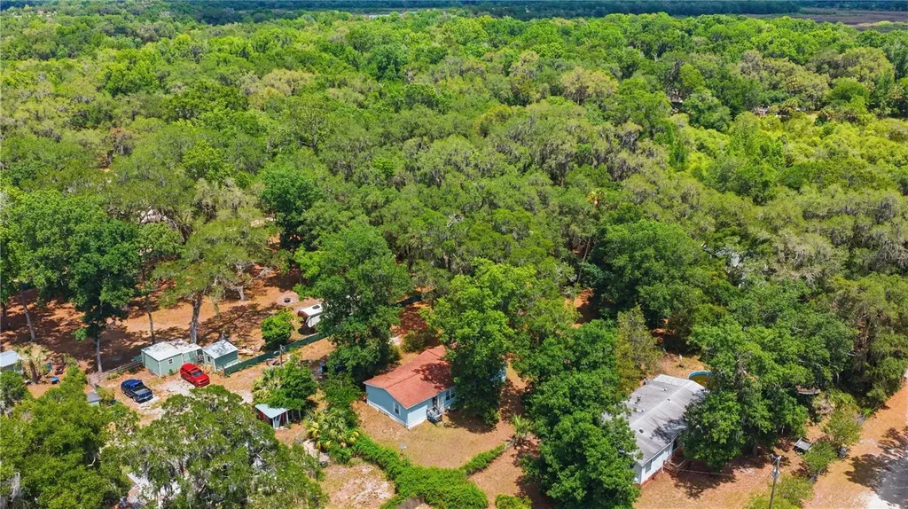 3290 NE 161st Street Citra FL 32113