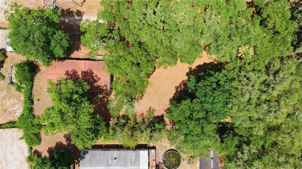 3290 NE 161st Street Citra FL 32113