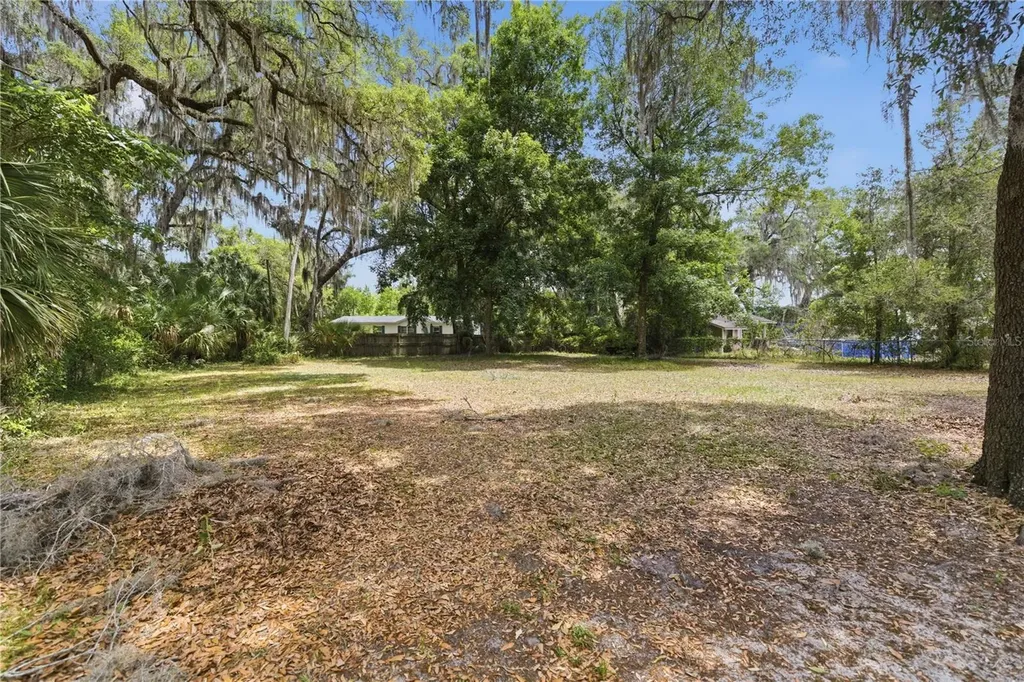 3290 NE 161st Street Citra FL 32113