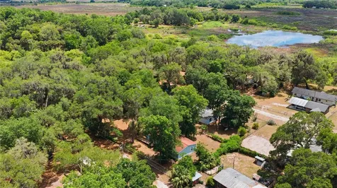 3290 NE 161st Street Citra FL 32113