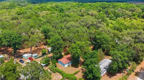 3290 NE 161st Street Citra FL 32113