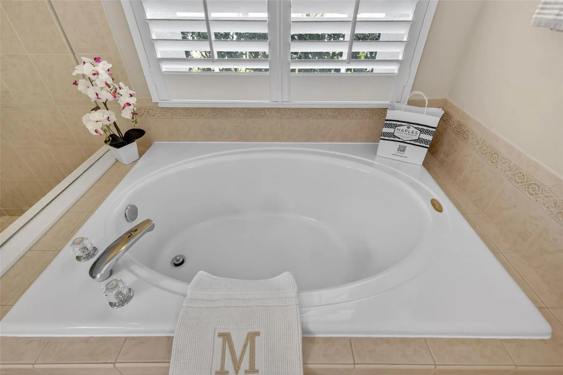 9096 Laurel Ridge Drive Mount Dora FL 32757