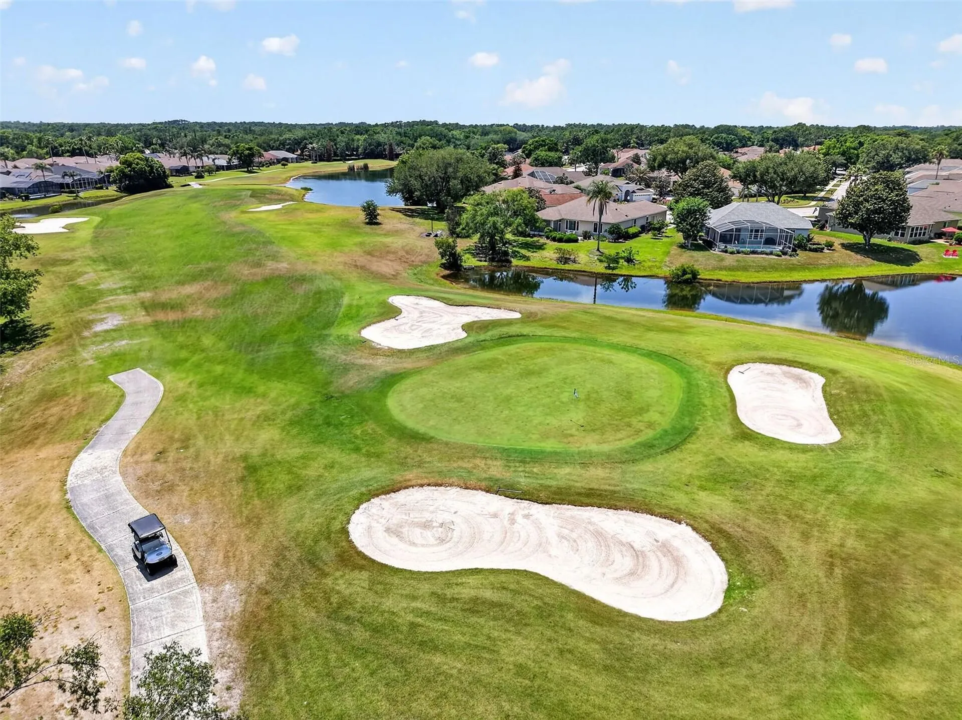9096 Laurel Ridge Drive Mount Dora FL 32757