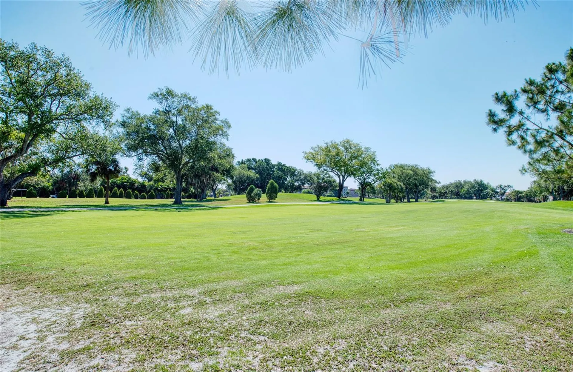 6305 Pelican Creek Crossing St Petersburg FL 33707