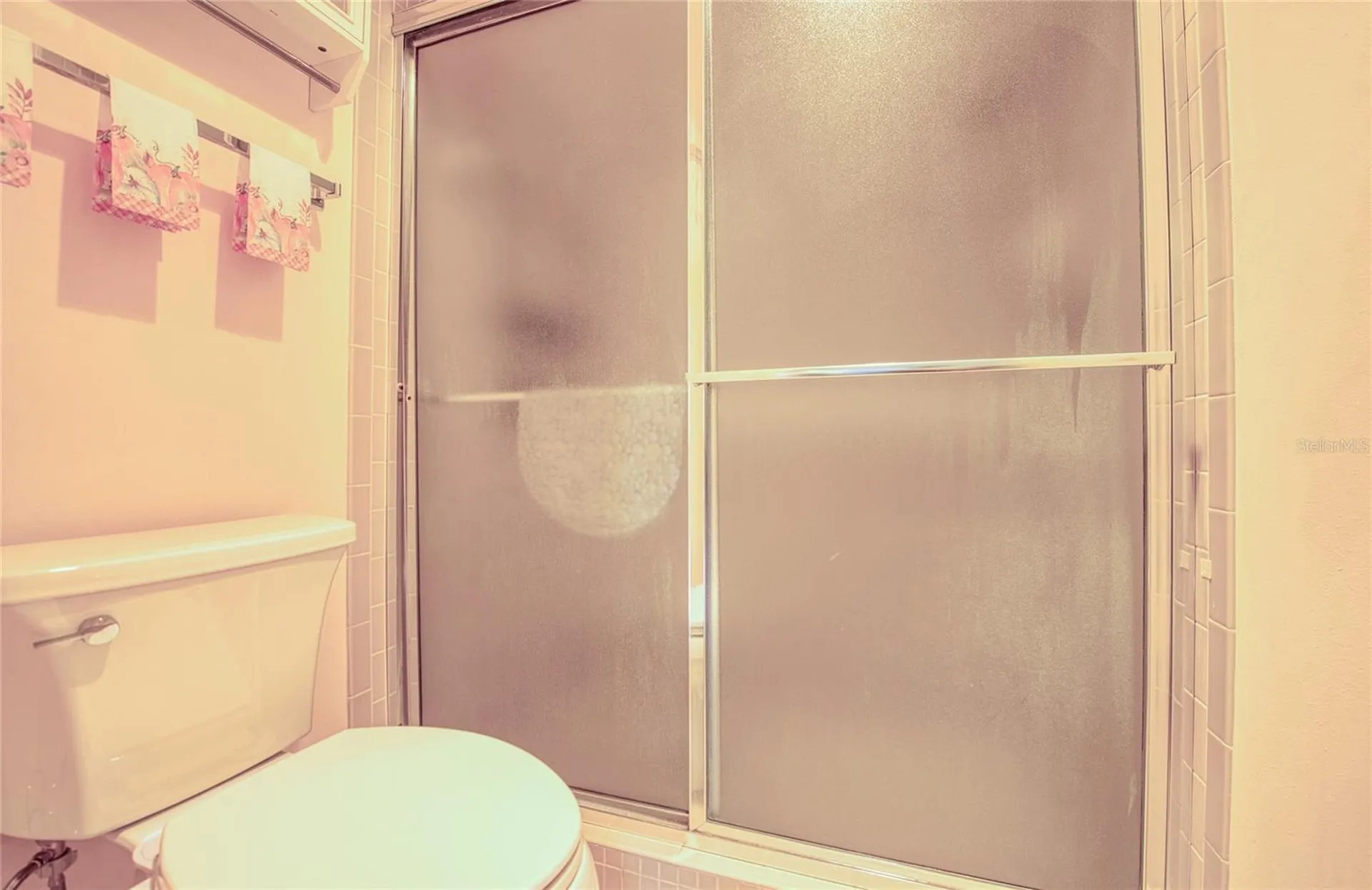 6305 Pelican Creek Crossing St Petersburg FL 33707