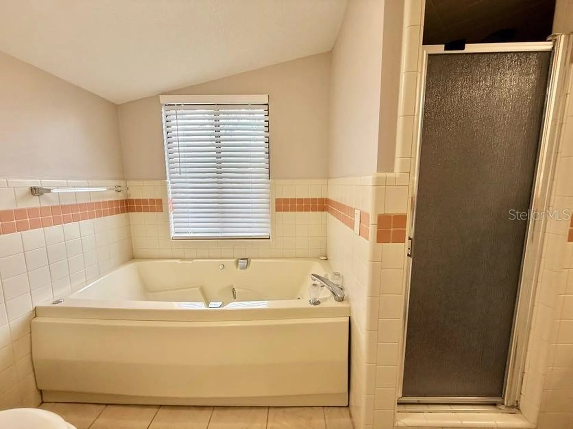 6804 Lake View Drive Yalaha FL 34797