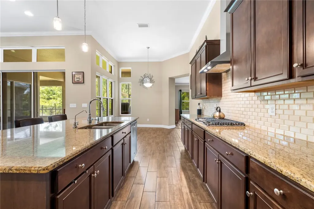16726 Courtyard Loop Land O Lakes FL 34638