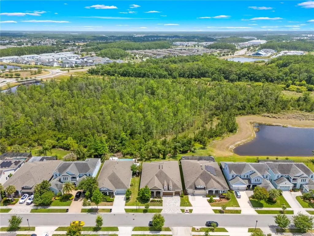 16726 Courtyard Loop Land O Lakes FL 34638