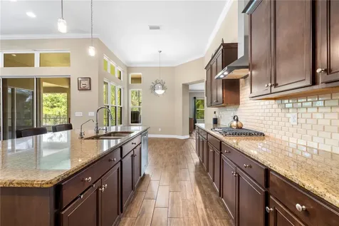 16726 Courtyard Loop Land O Lakes FL 34638