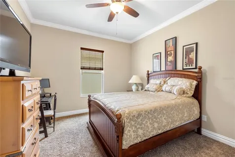16726 Courtyard Loop Land O Lakes FL 34638