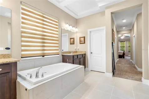 16726 Courtyard Loop Land O Lakes FL 34638