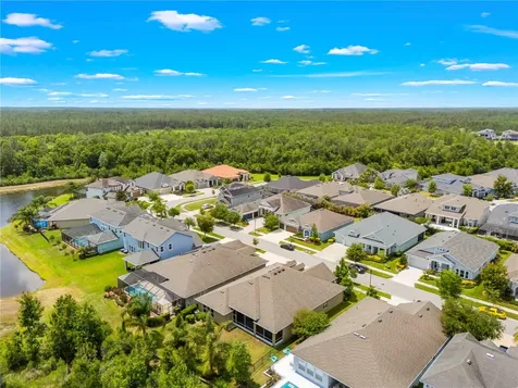 16726 Courtyard Loop Land O Lakes FL 34638