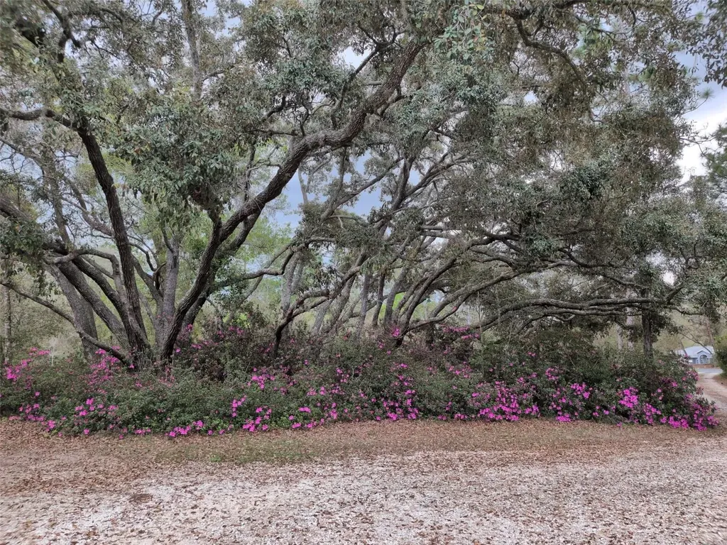 2933 E Quail Court Inverness FL 34452