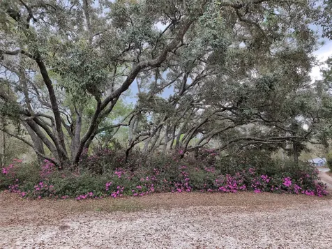 2933 E Quail Court Inverness FL 34452