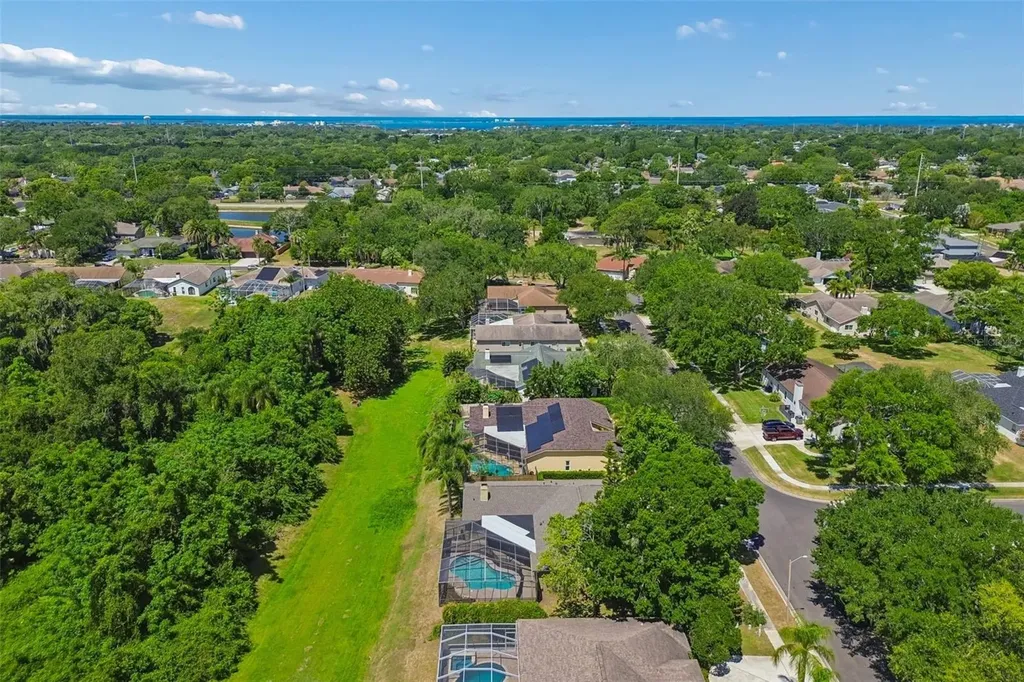 2080 Simeon Drive Palm Harbor FL 34683
