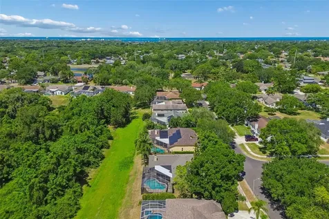 2080 Simeon Drive Palm Harbor FL 34683