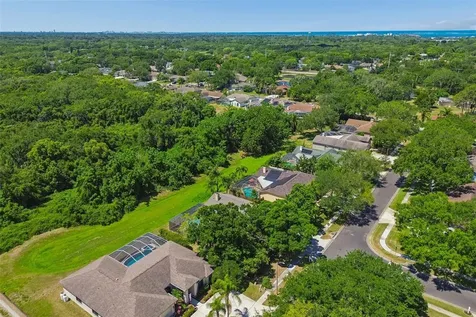 2080 Simeon Drive Palm Harbor FL 34683
