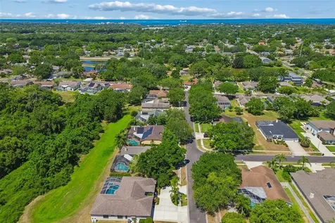 2080 Simeon Drive Palm Harbor FL 34683
