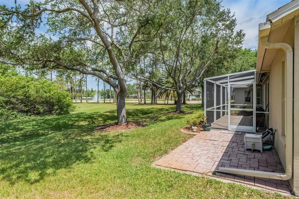 1237 Almondwood Drive Trinity FL 34655