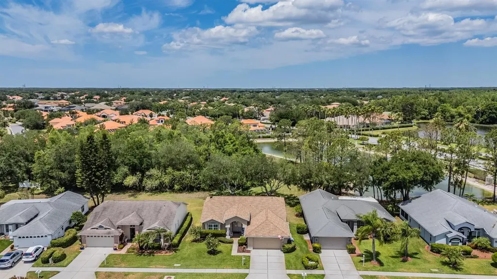 1237 Almondwood Drive Trinity FL 34655
