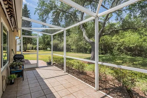 1237 Almondwood Drive Trinity FL 34655
