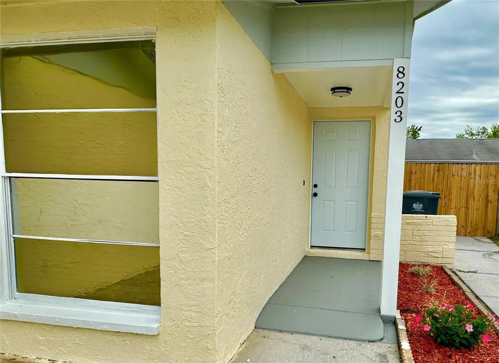 8203 Olivewood Place Tampa FL 33615