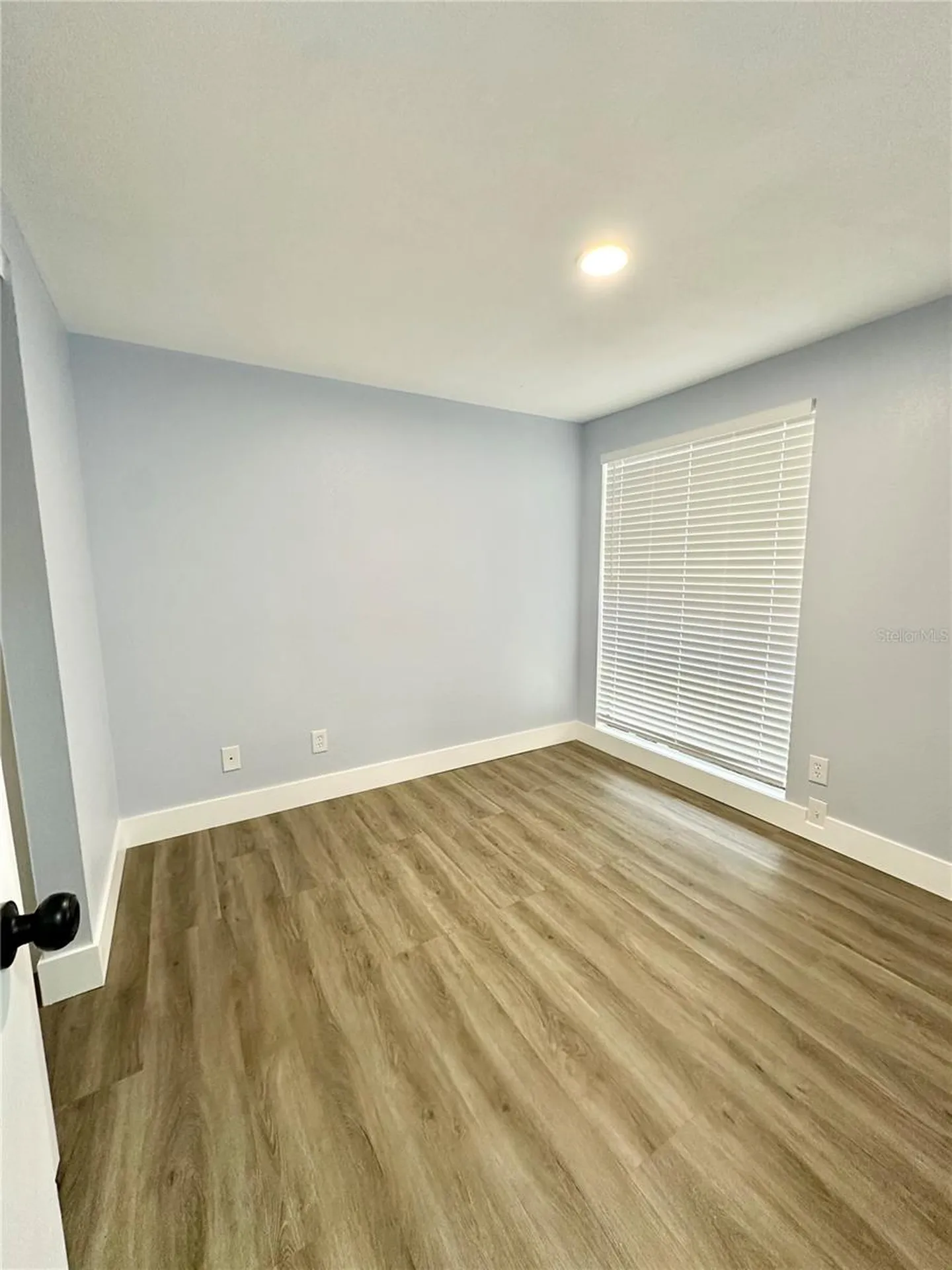 8203 Olivewood Place Tampa FL 33615