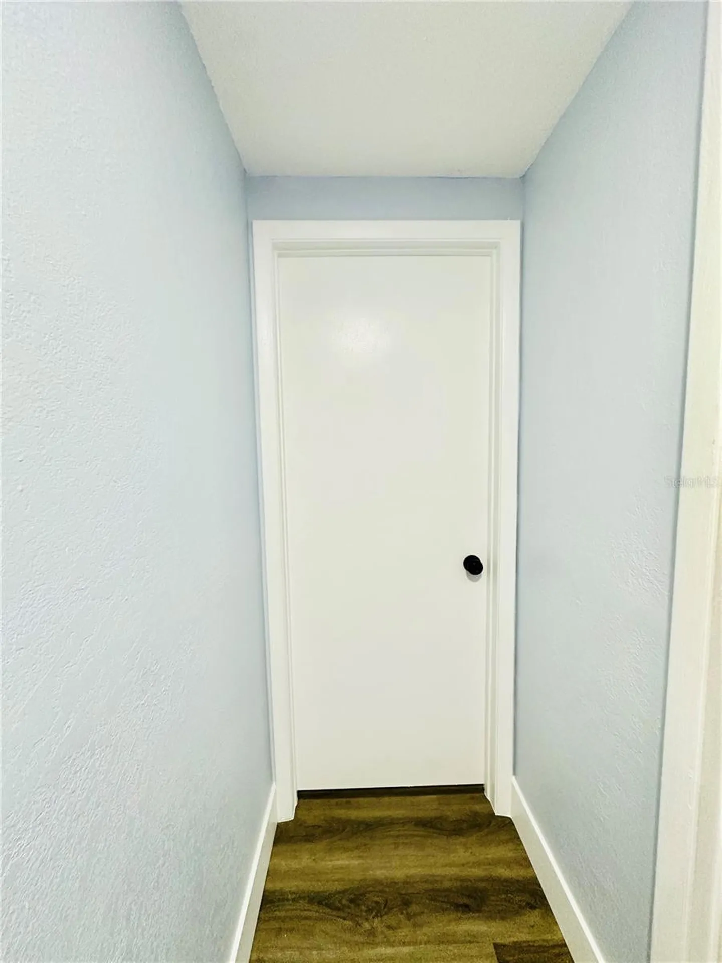 8203 Olivewood Place Tampa FL 33615