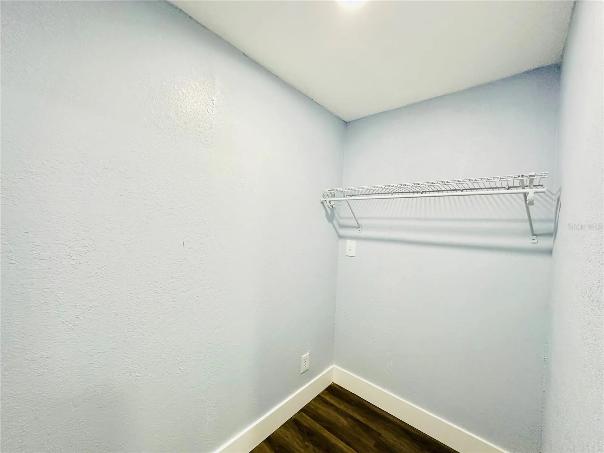 8203 Olivewood Place Tampa FL 33615