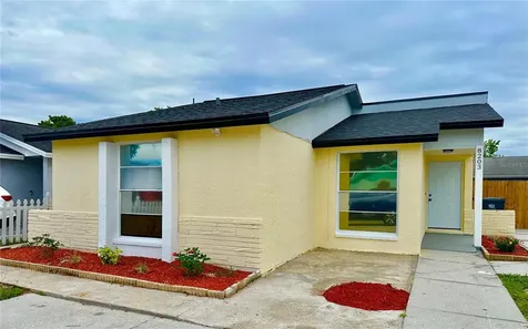 8203 Olivewood Place Tampa FL 33615