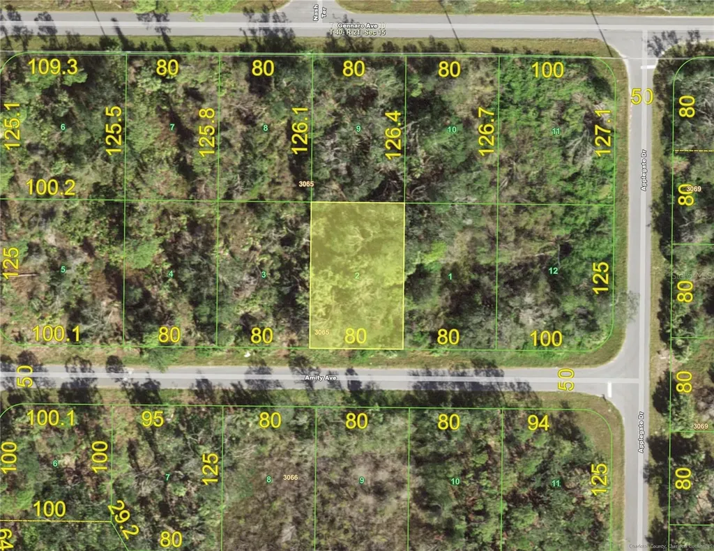 15104 Amity Avenue Port Charlotte FL 33953