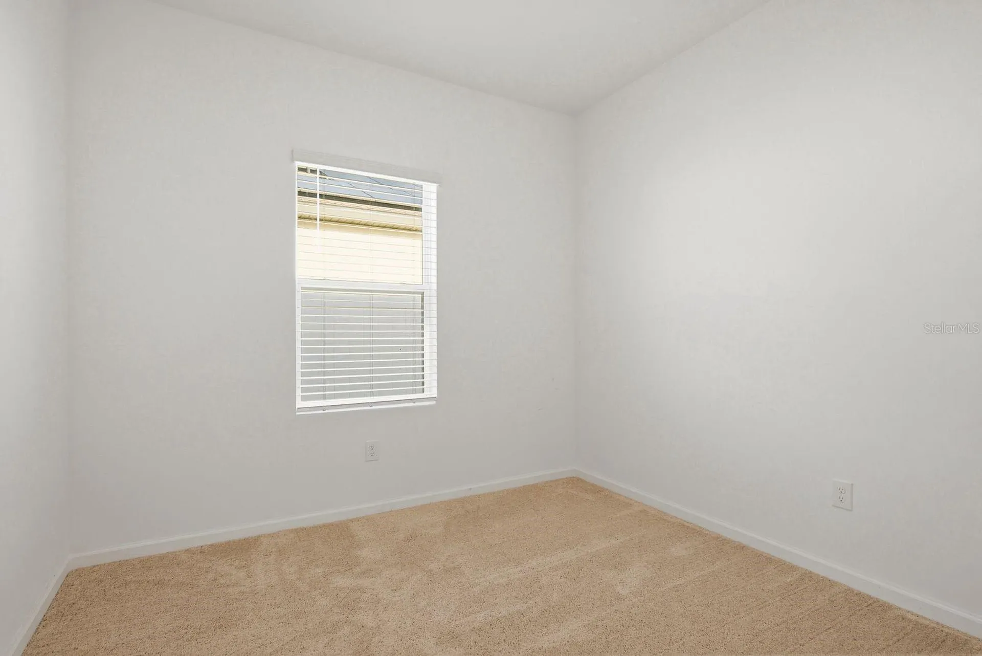 35145 Daisy Meadow Loop Zephyrhills FL 33541
