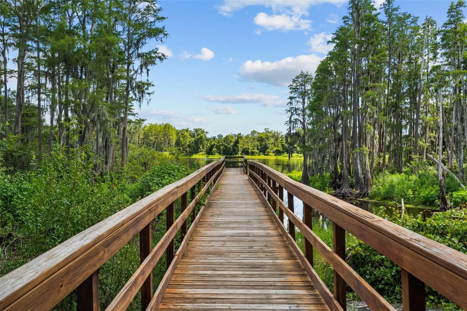 14221 Pondhawk Tampa FL 33625