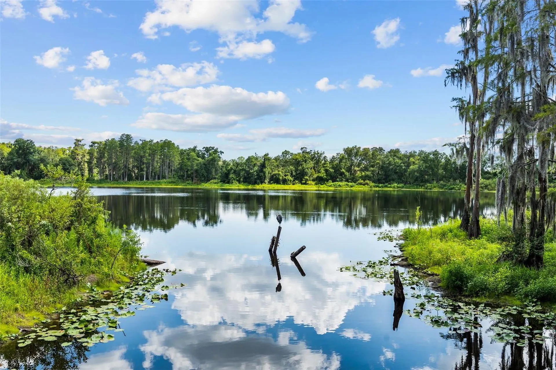 14221 Pondhawk Tampa FL 33625