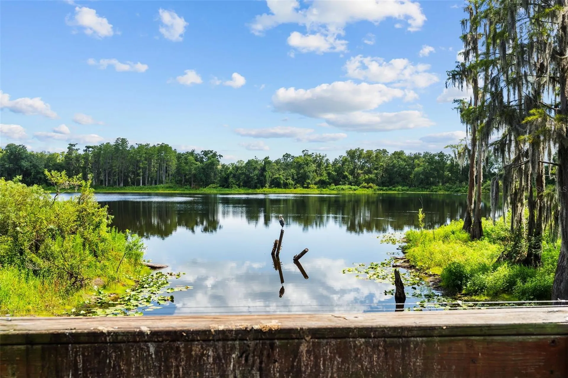 14221 Pondhawk Tampa FL 33625