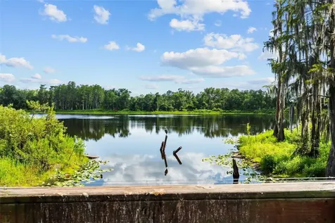 14221 Pondhawk Tampa FL 33625