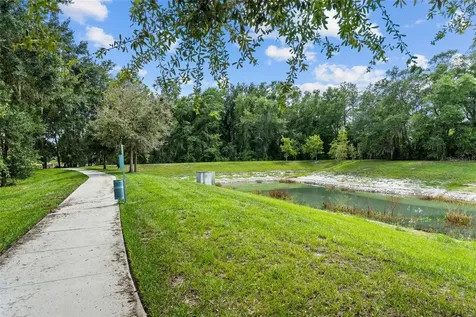 14221 Pondhawk Tampa FL 33625