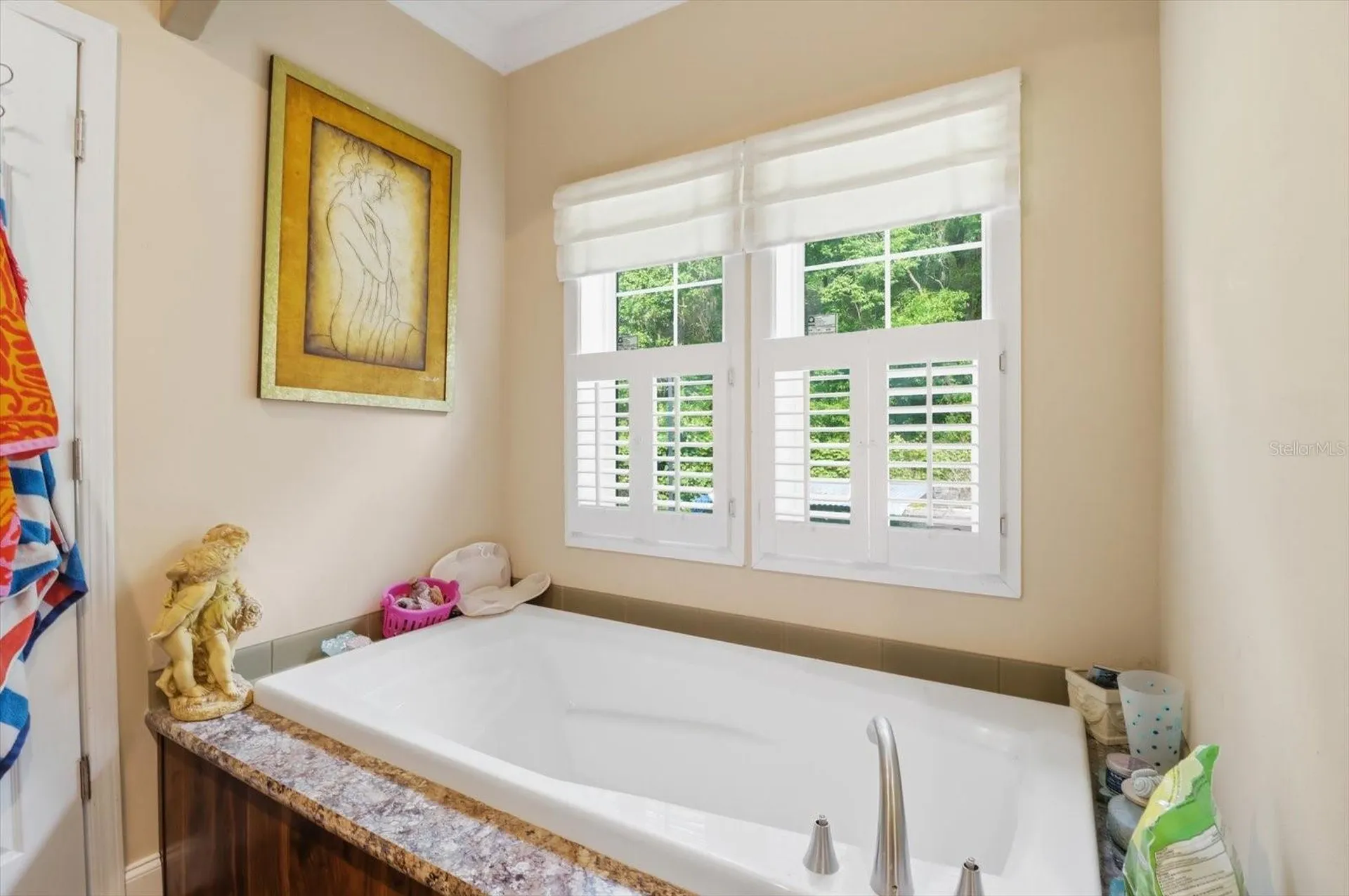 3883 SW 165th Avenue Road Ocala FL 34481