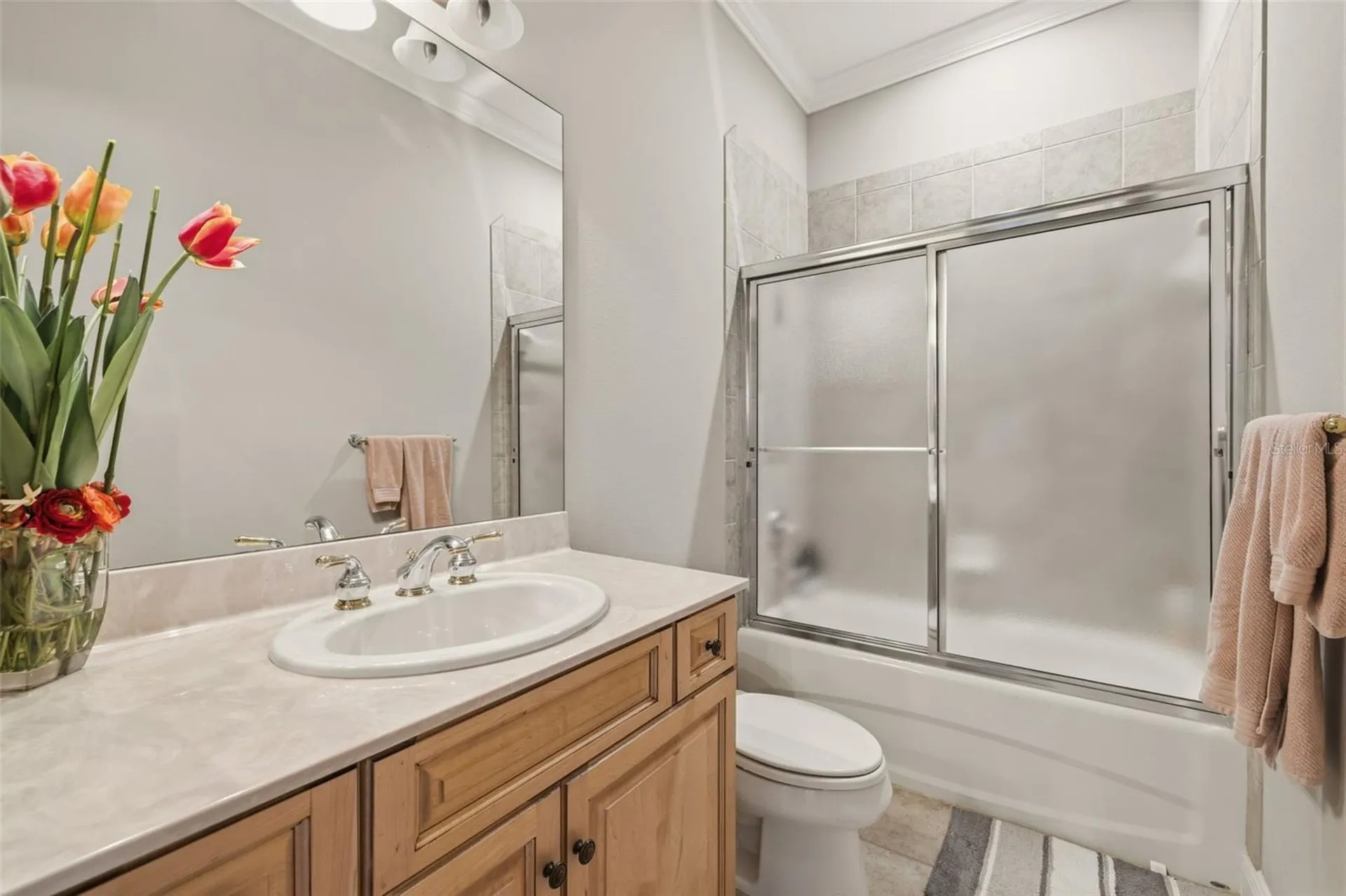 615 Saxony Boulevard St Petersburg FL 33716
