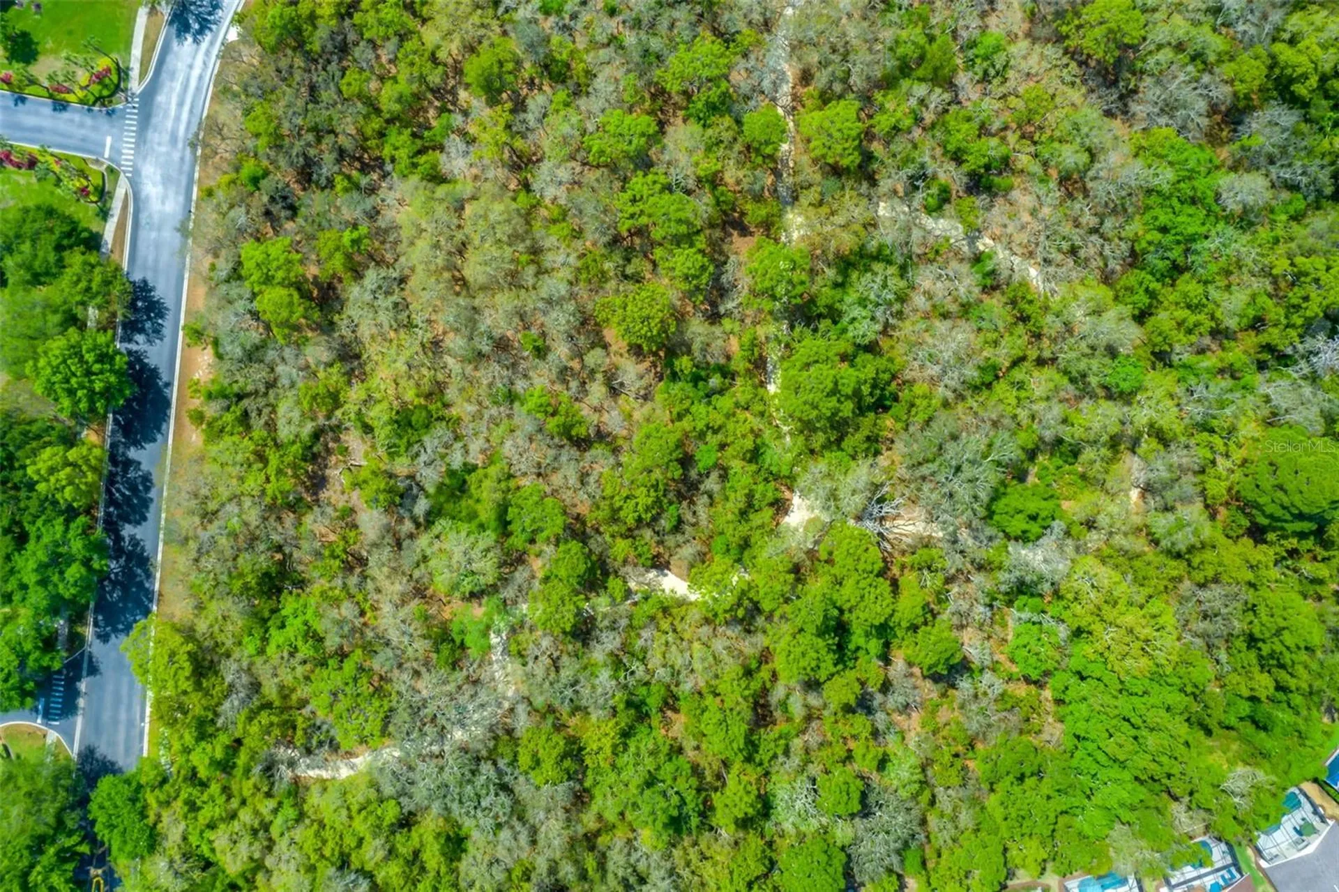 8550 Sunrise Key Drive Kissimmee FL 34747