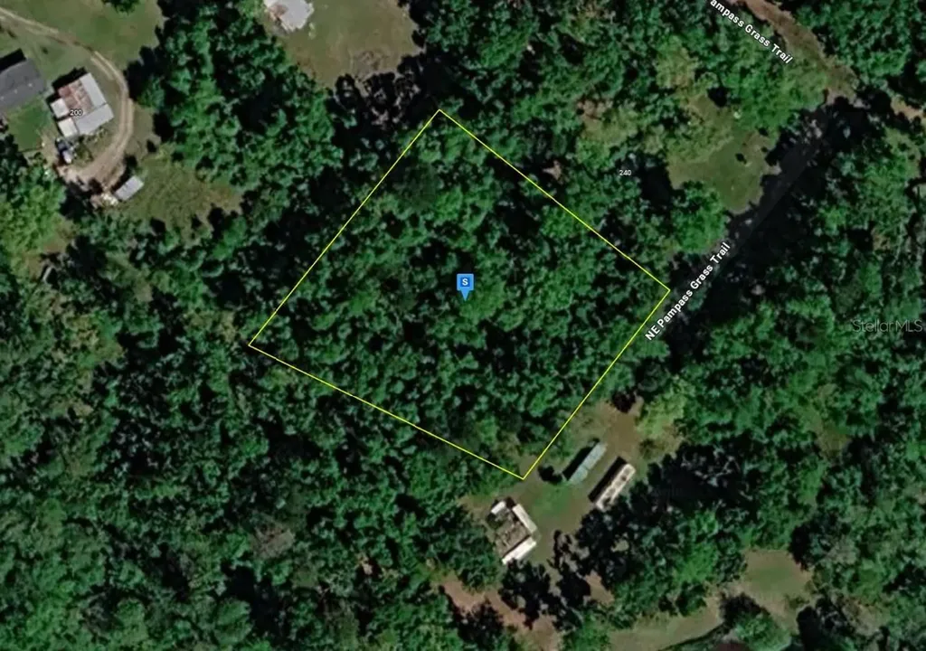 220 NE Pampass Grass Trail Pinetta FL 32350
