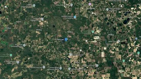 220 NE Pampass Grass Trail Pinetta FL 32350