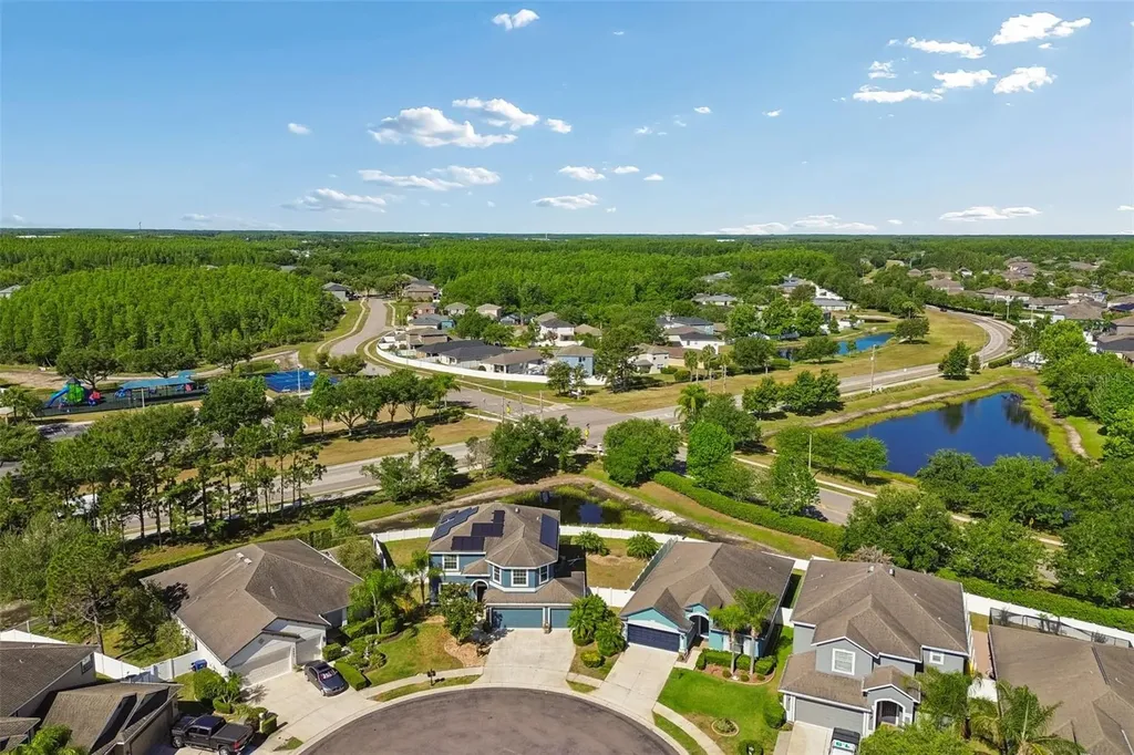 3453 Marmalade Court Land O Lakes FL 34638