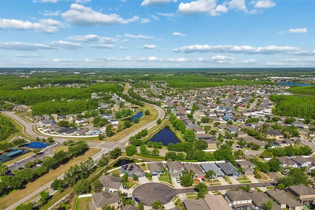 3453 Marmalade Court Land O Lakes FL 34638