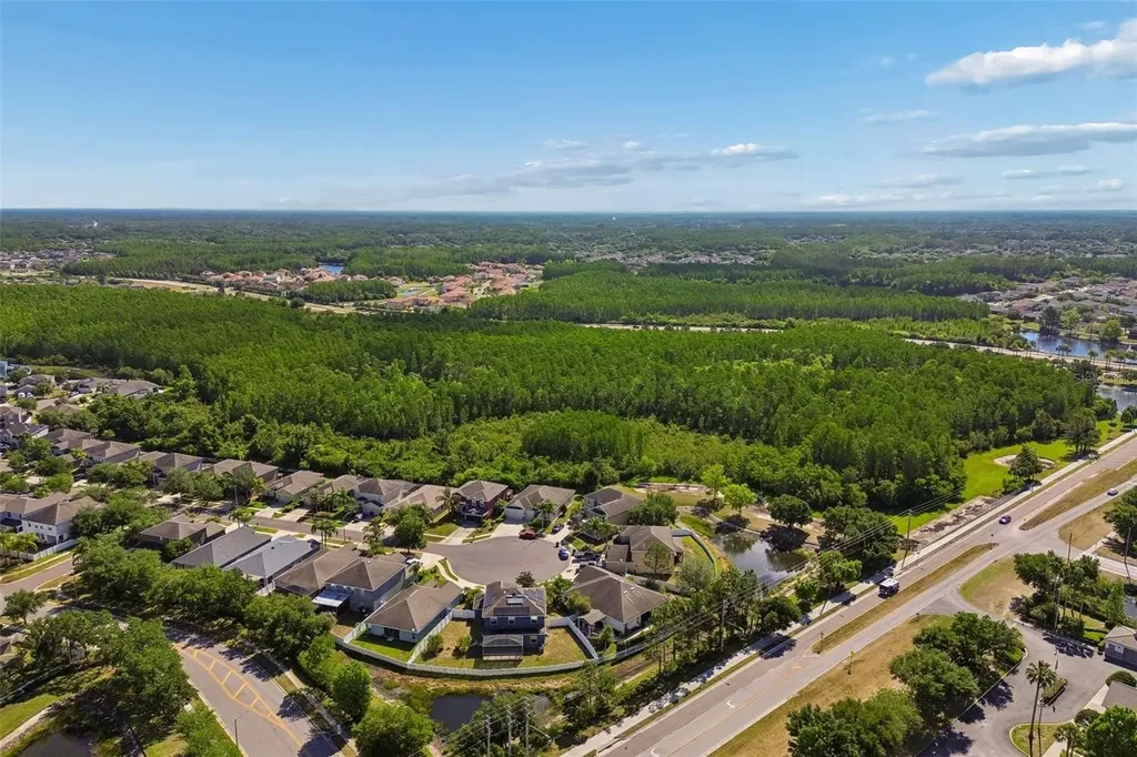 3453 Marmalade Court Land O Lakes FL 34638