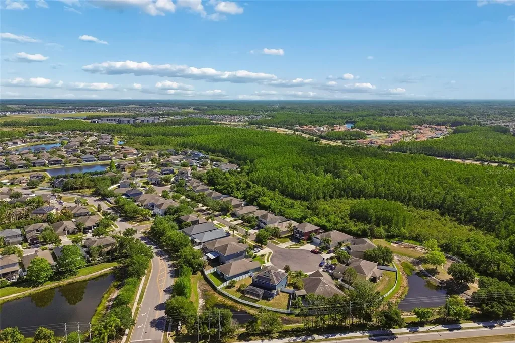 3453 Marmalade Court Land O Lakes FL 34638
